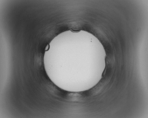 X0000113910133200910221341