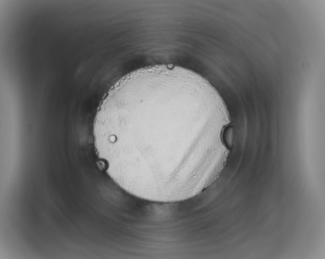 X0000113910134200910221341