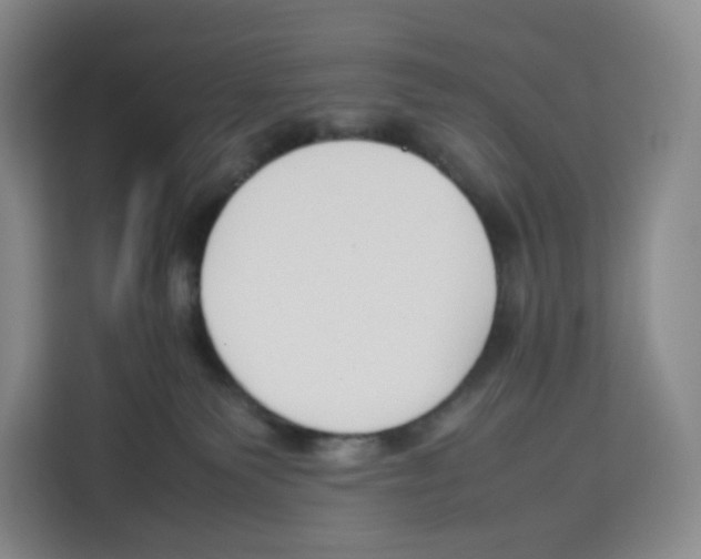 X0000113910135200910221341