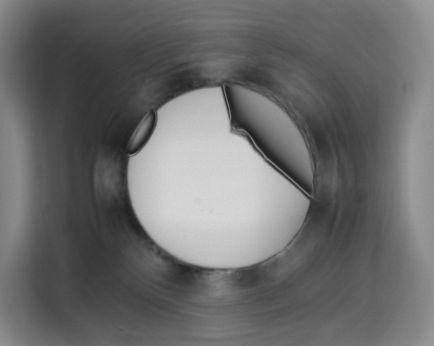 X0000113910136200910221341