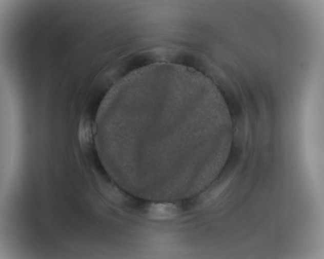 X0000113910137200910221341