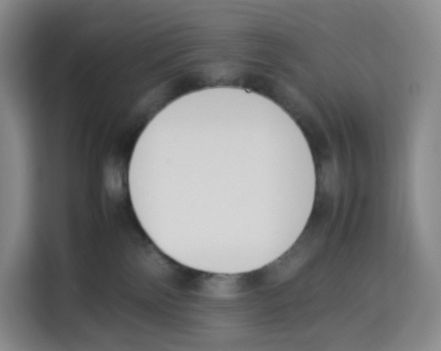 X0000113910138200910221341