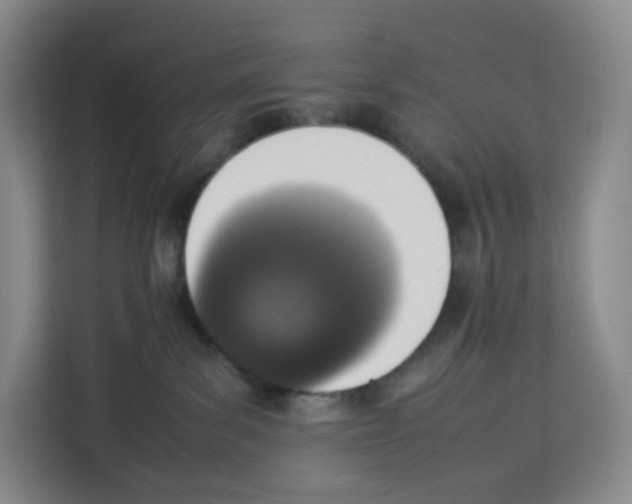 X0000113910139200910221341