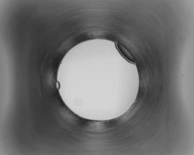 X0000113910140200910221341