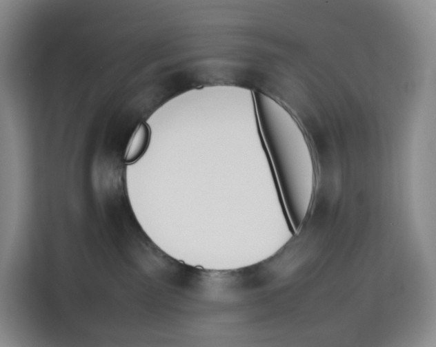 X0000113910141200910221341