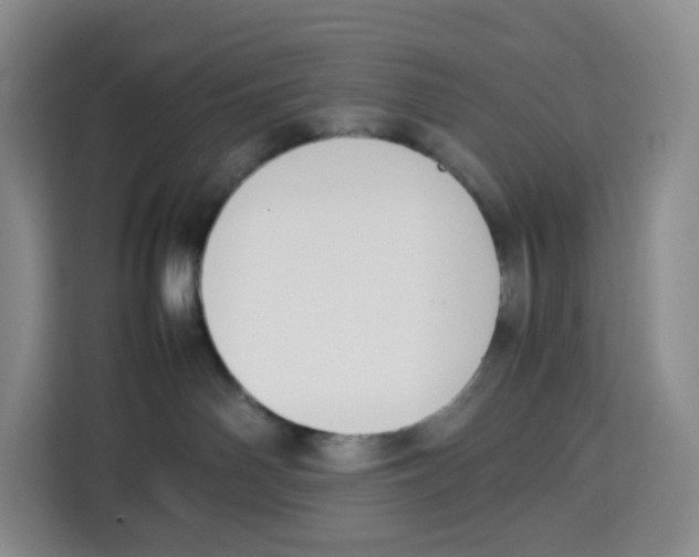 X0000113910142200910221341