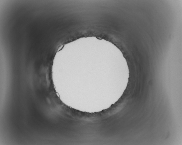 X0000113910144200910221341