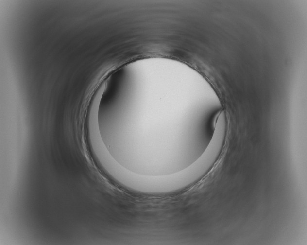 X0000113910145200910221340