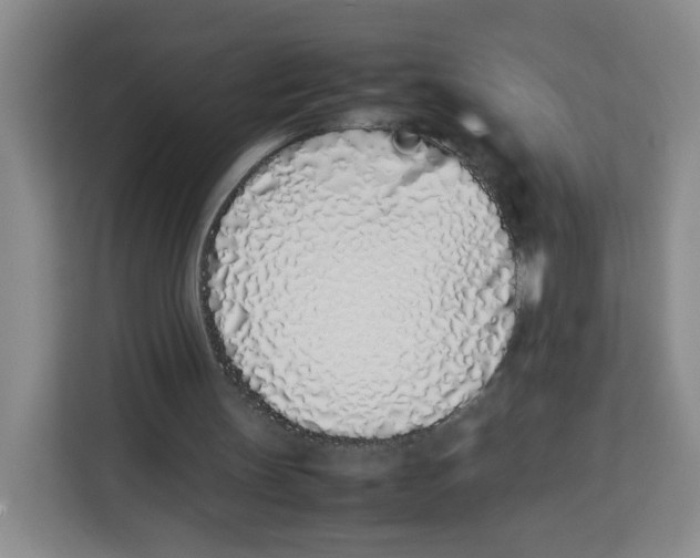 X0000113910147200910221340