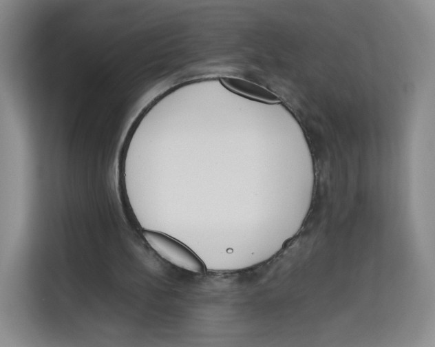 X0000113910148200910221340