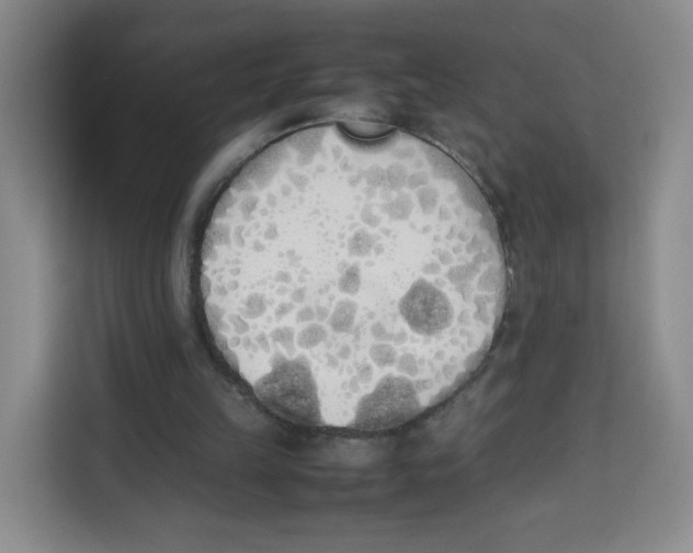 X0000113910149200910221340