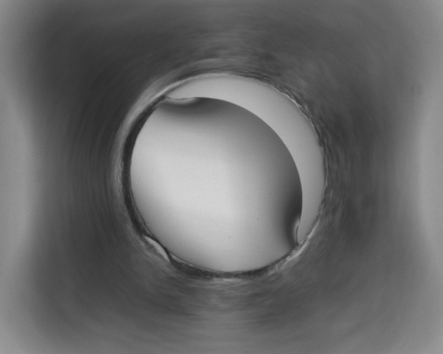 X0000113910150200910221340