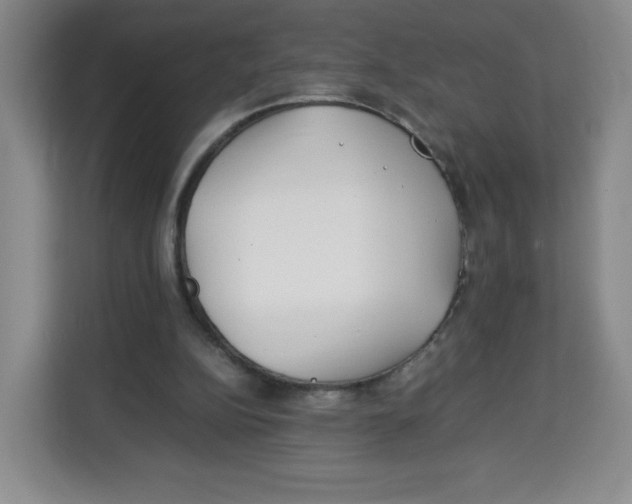 X0000113910152200910221340