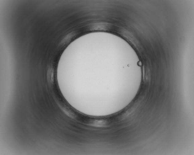 X0000113910157200910221340