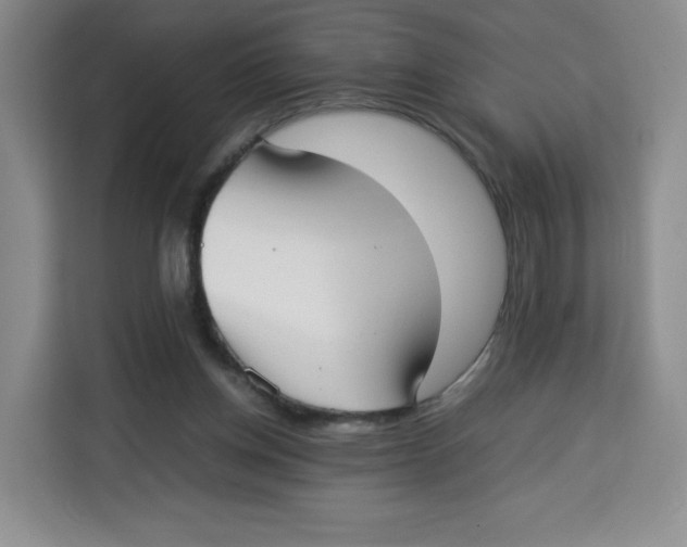 X0000113910158200910221340