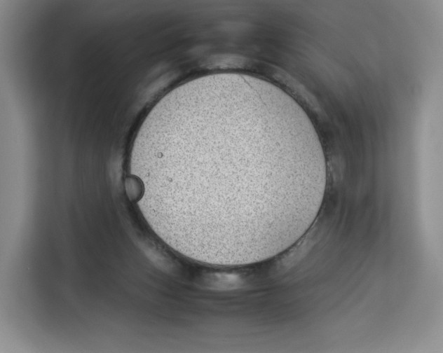 X0000113910159200910221340