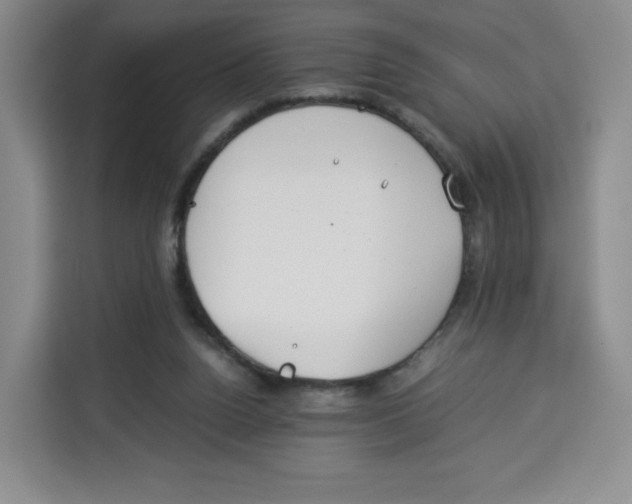 X0000113910160200910221340