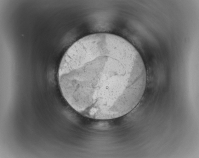 X0000113910162200910221340