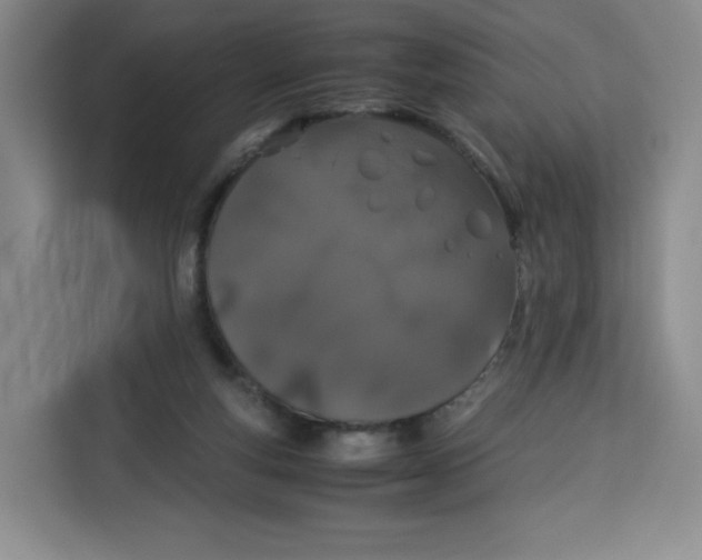 X0000113910163200910221340
