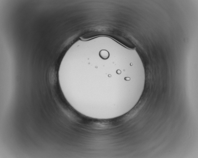 X0000113910164200910221340