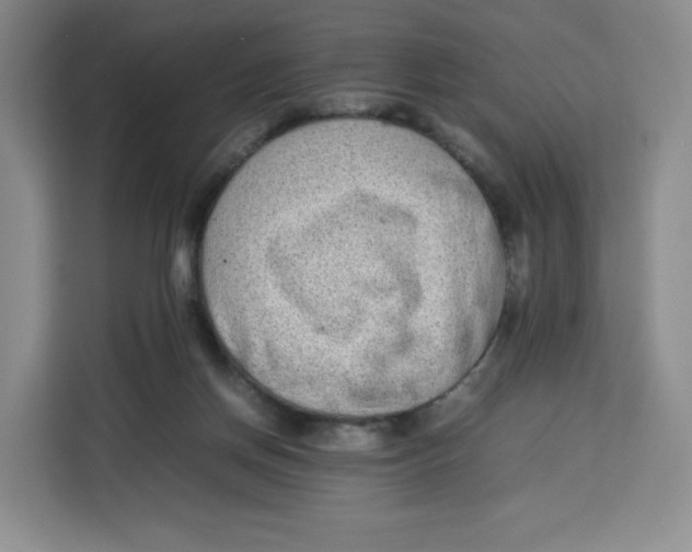 X0000113910166200910221340