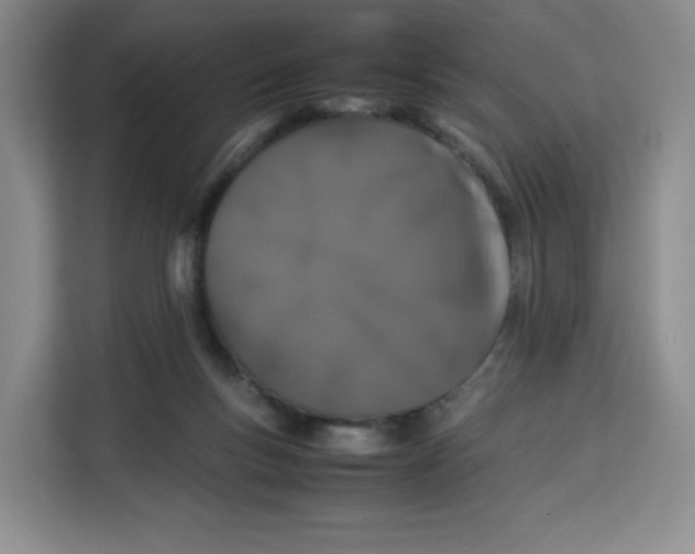 X0000113910167200910221340