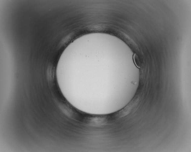 X0000113910168200910221340