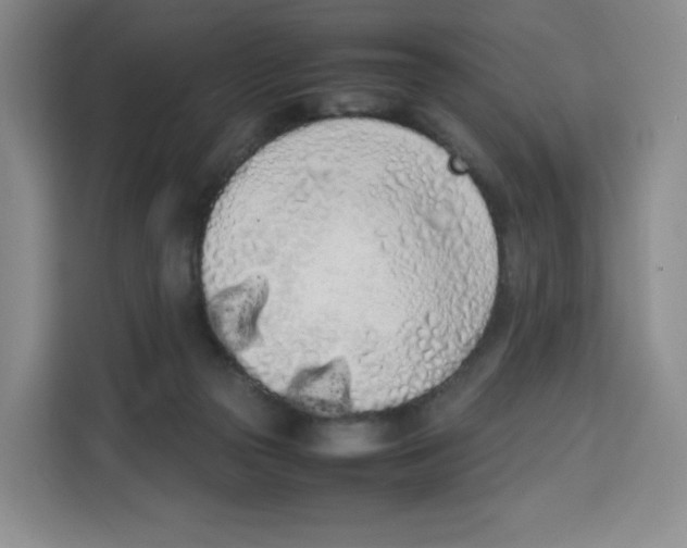 X0000113910169200910221340