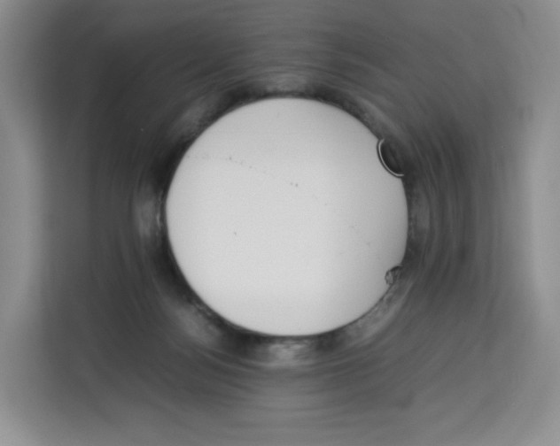 X0000113910172200910221341
