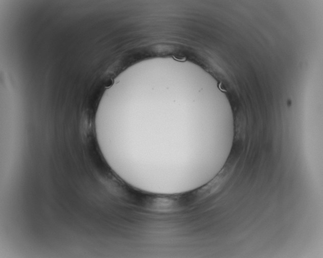 X0000113910176200910221341