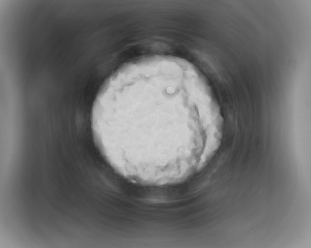 X0000113910177200910221341