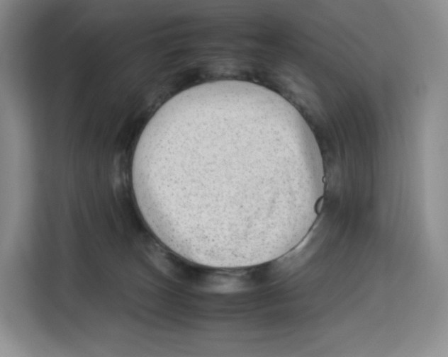 X0000113910179200910221341