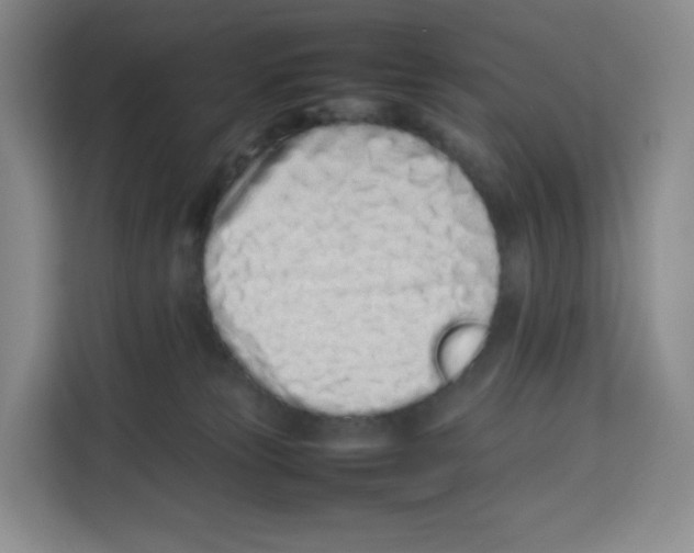 X0000113910181200910221341