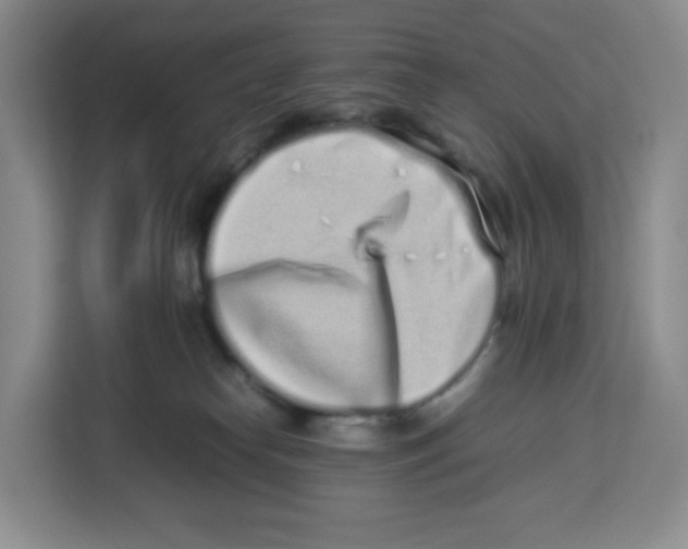 X0000113910182200910221341
