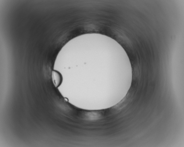 X0000113910183200910221341