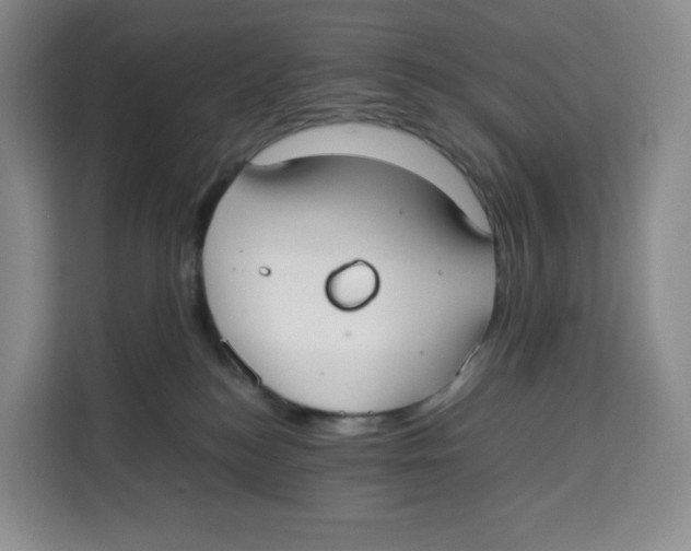 X0000113910184200910221341