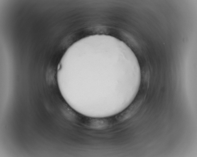 X0000113910185200910221341