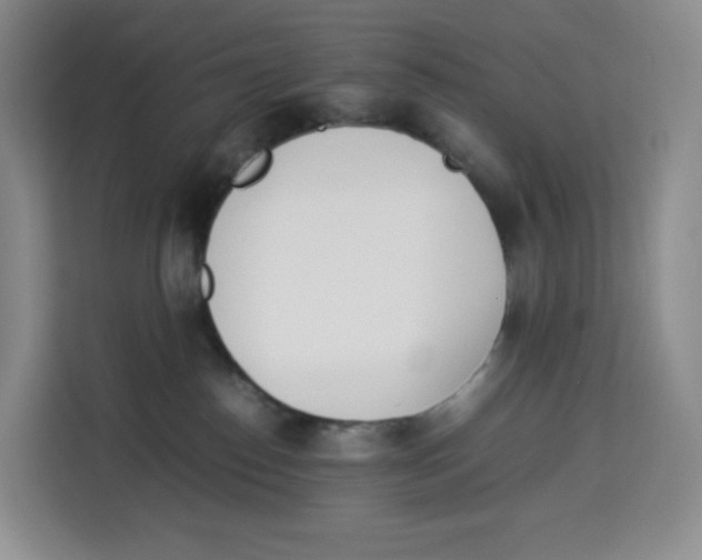 X0000113910186200910221341