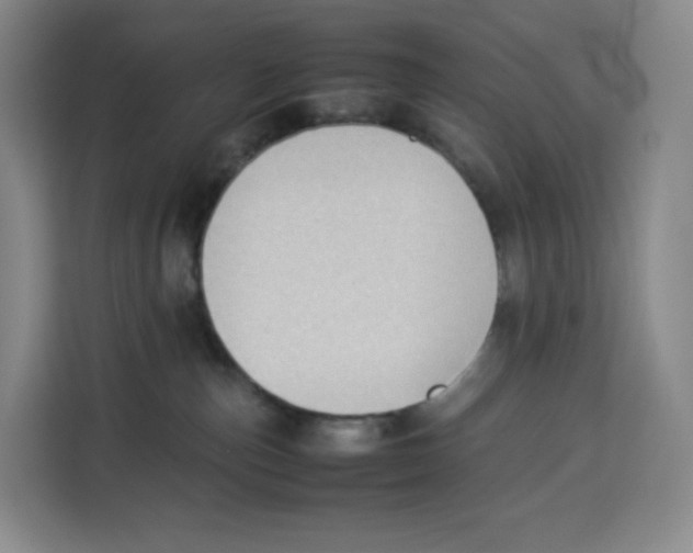 X0000113910187200910221341