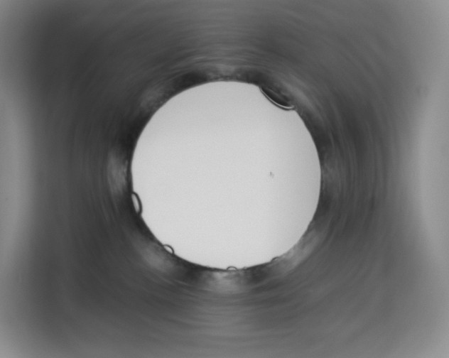 X0000113910188200910221341