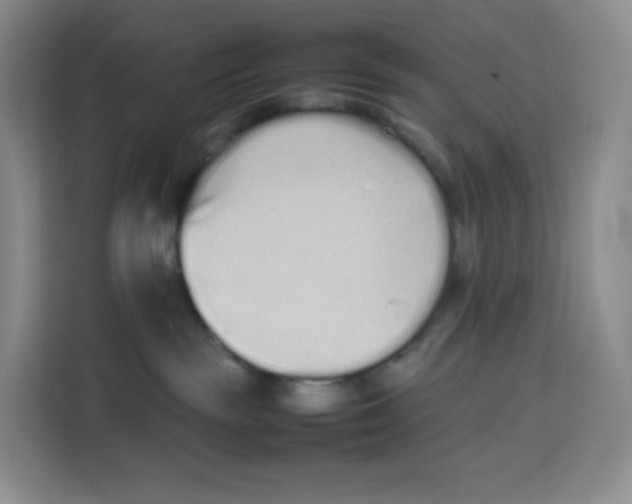 X0000113910189200910221341