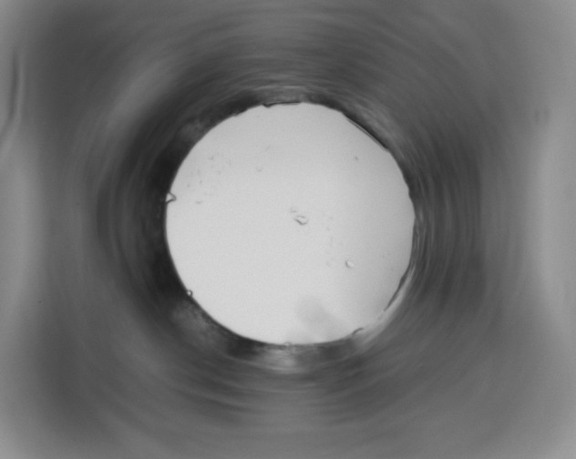 X0000113910190200910221341