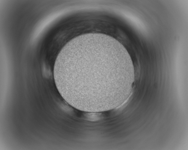 X0000113910191200910221341