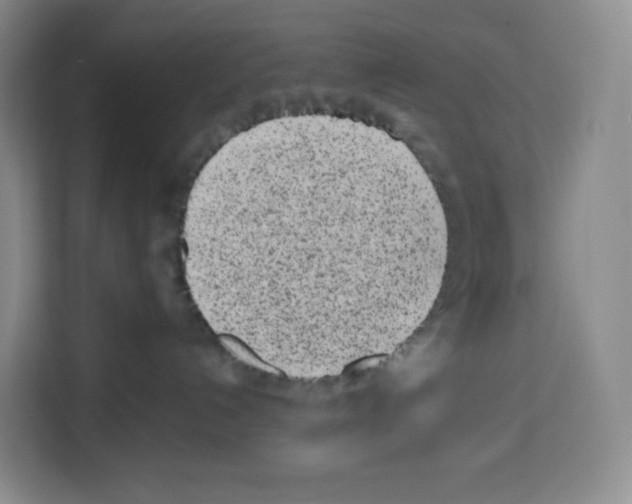 X0000113910192200910221341