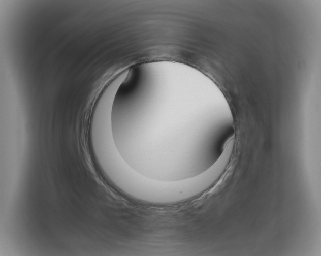 X0000113910193200910221340