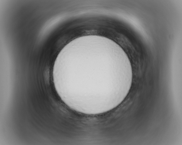 X0000113910194200910221340