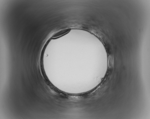 X0000113910195200910221340