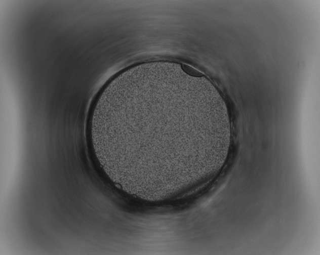 X0000113910196200910221340