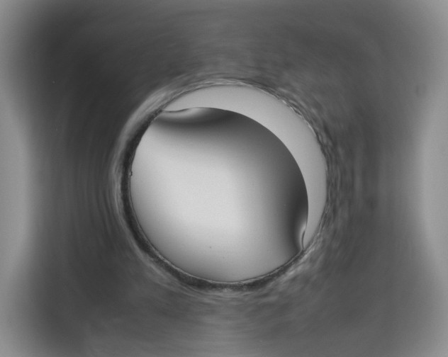 X0000113910197200910221340