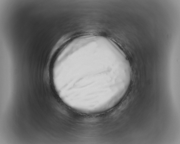 X0000113910198200910221340
